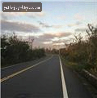 王刚